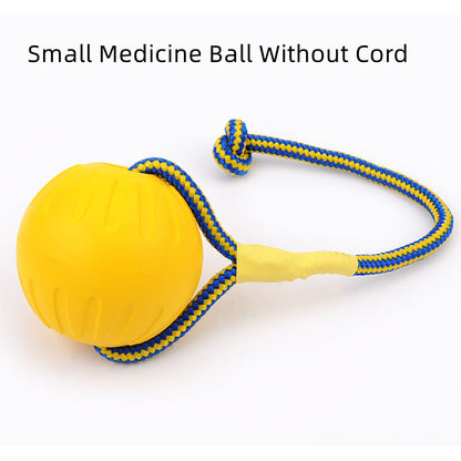 EVA Floating Dog Training Ball with Rope for Pets
